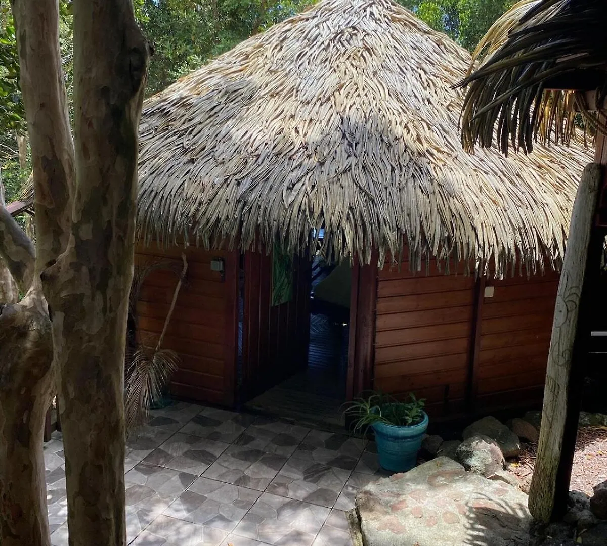 Hutte Karaib Reve De Robinson Villa Terre-de-Bas